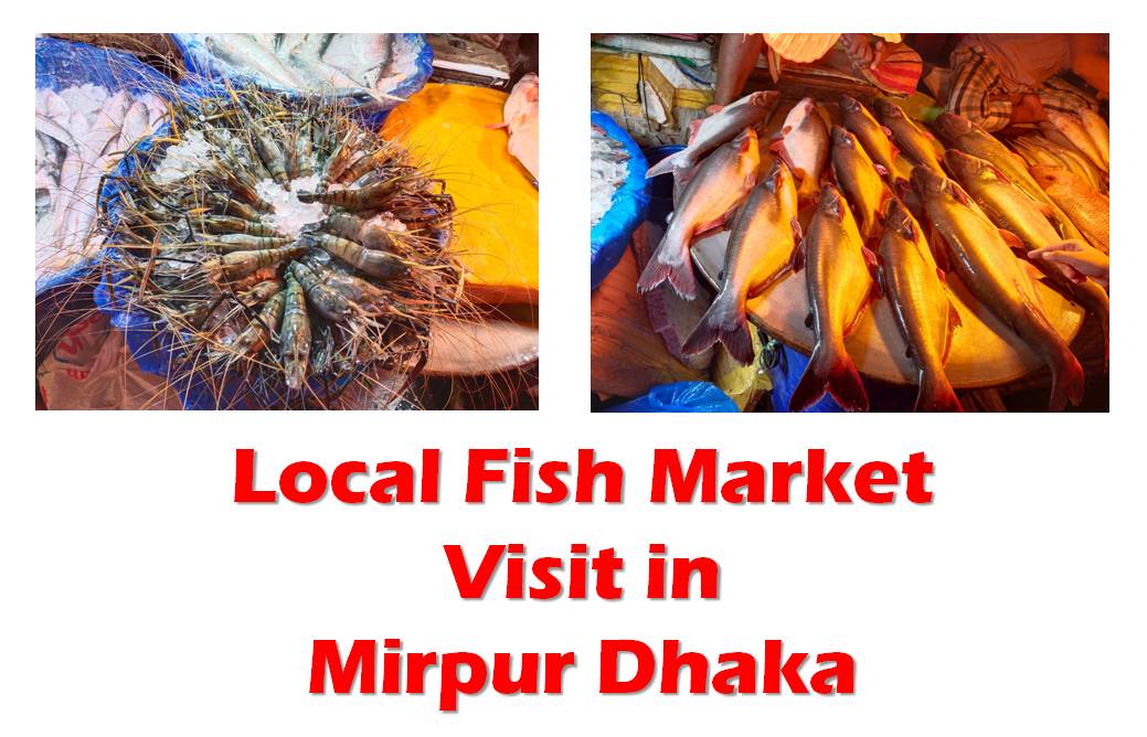 Local Fish Market visit in Mirpur Dhaka