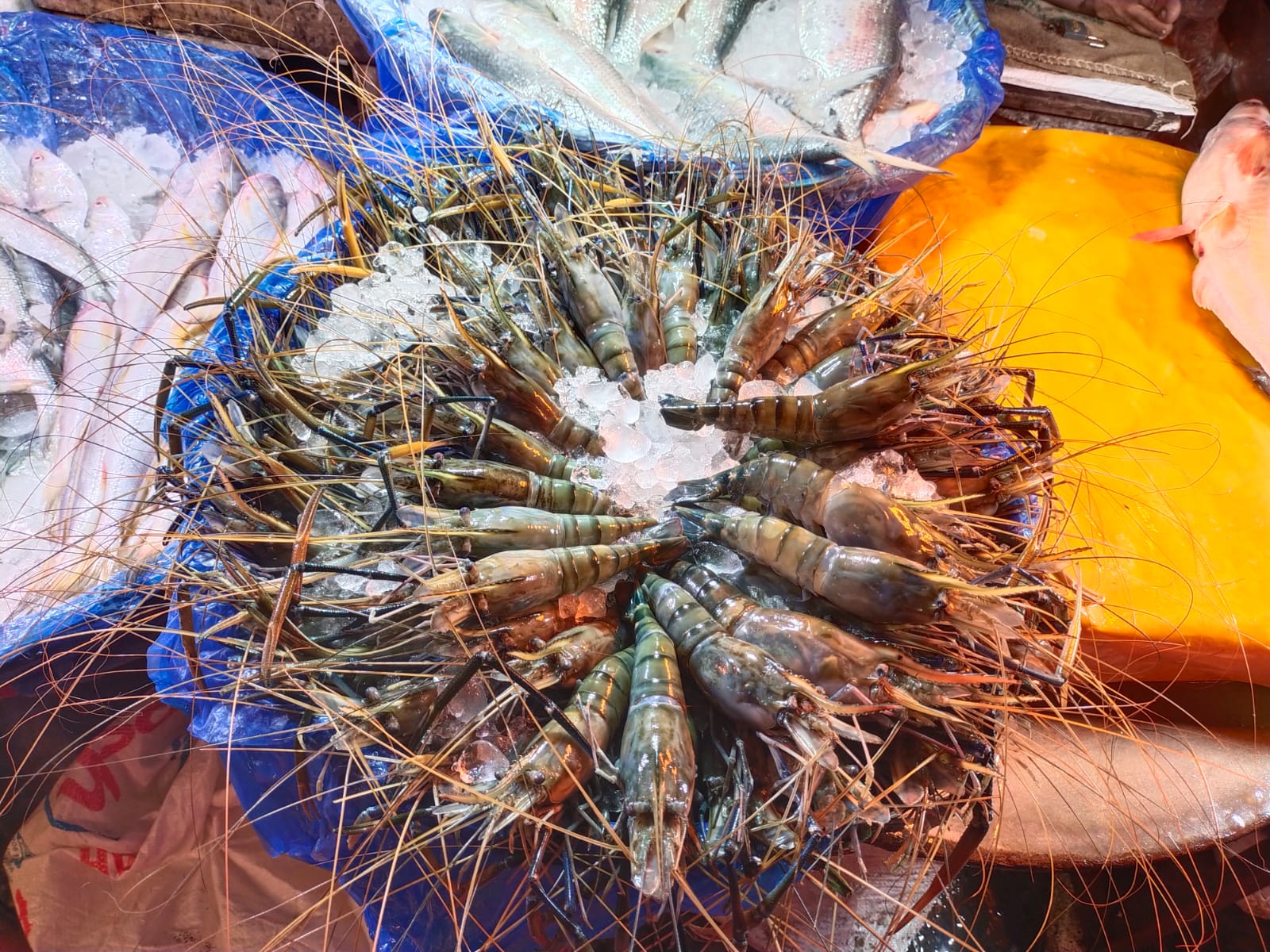 Prawn local fish market mirpur