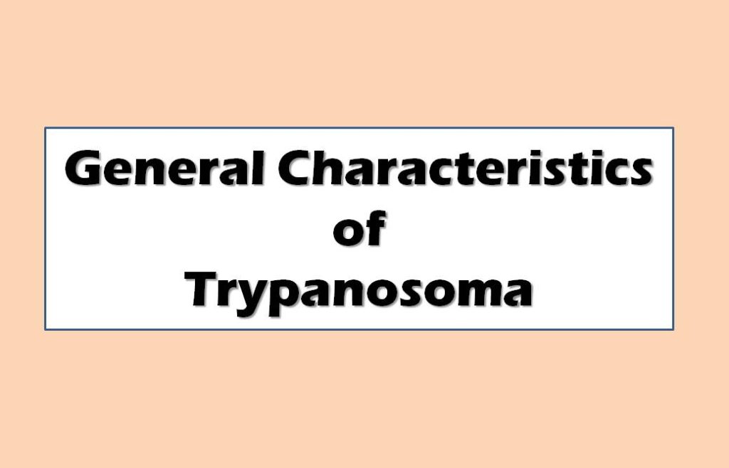 General Characteristics of Trypanosoma