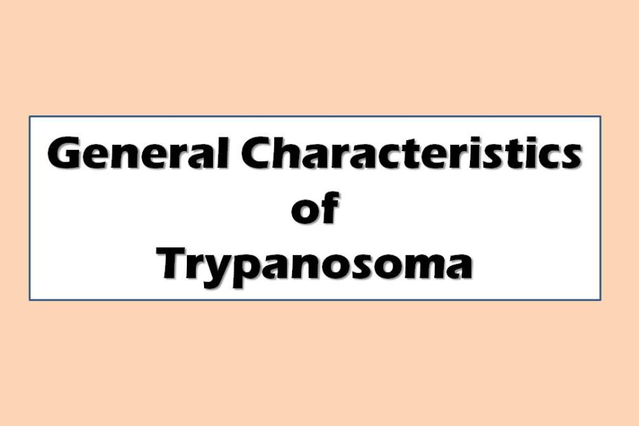 General Characteristics of Trypanosoma