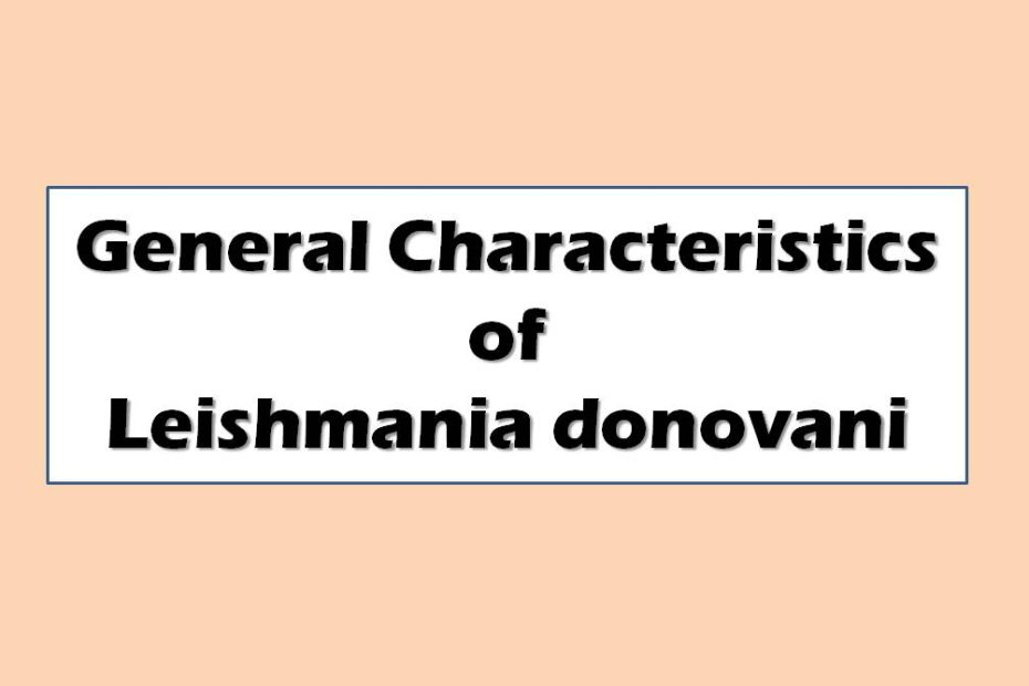 General Characters of Leishmania donovani