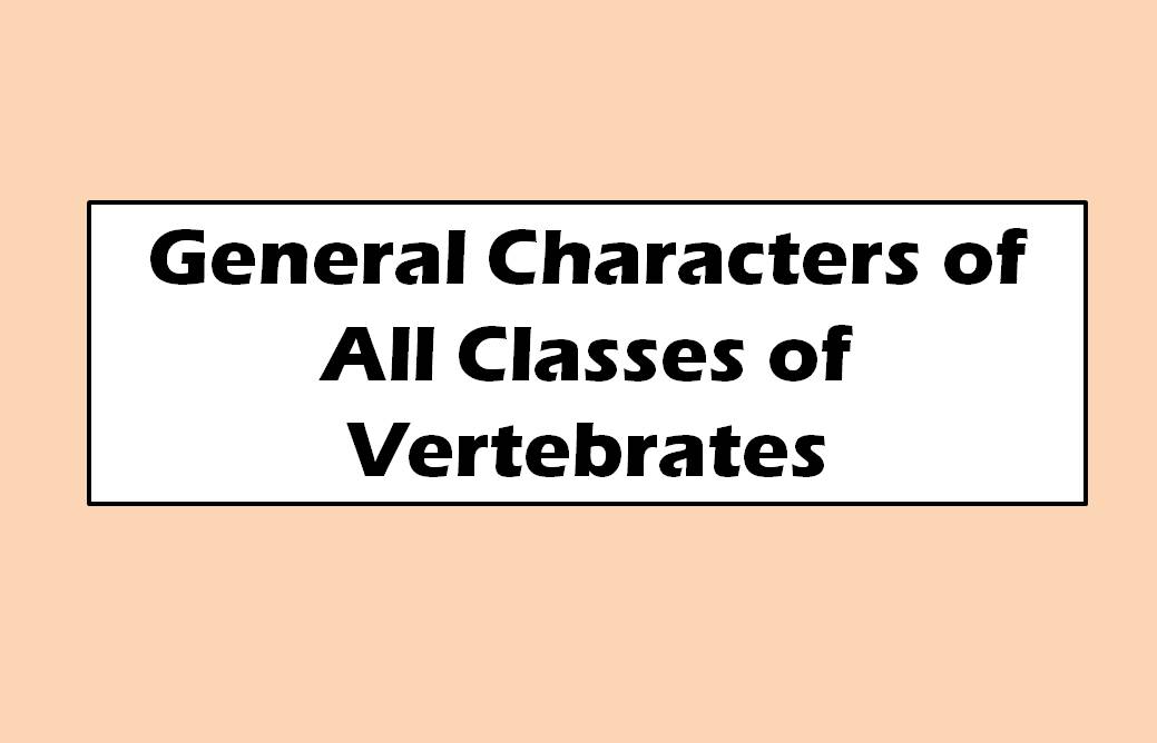 General Characters of All Classes of Vertebrates.