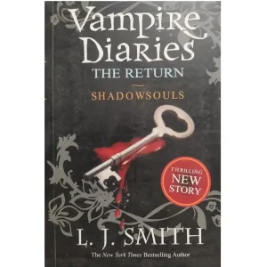 The vampire diaries vol. 4
