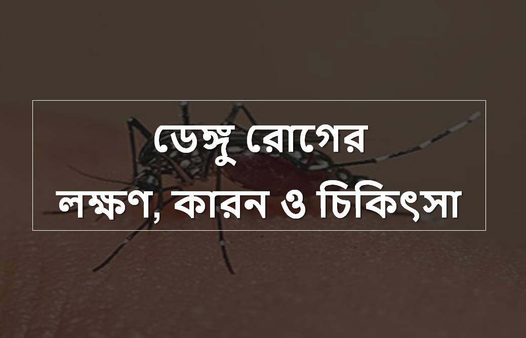 ডেঙ্গু-রোগের-লক্ষণ-কারন-ও-চিকিৎসা