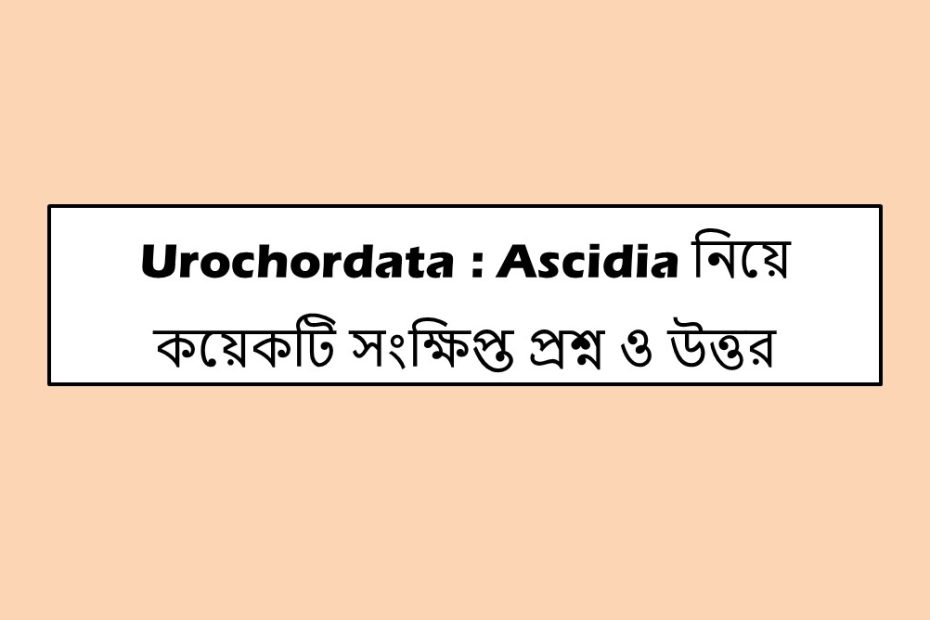 Urochordata : Ascidia নিয়ে কয়েকটি সংক্ষিপ্ত প্রশ্ন ও উত্তর