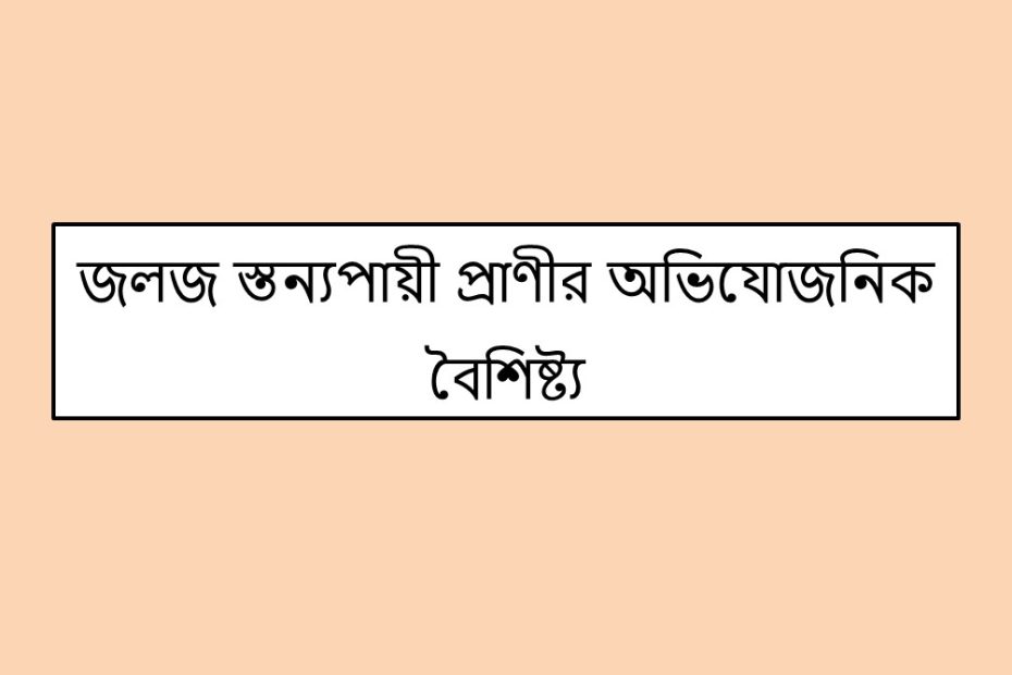 জলজ স্তন্যপায়ী প্রাণীর অভিযোজনিক বৈশিষ্ট্য