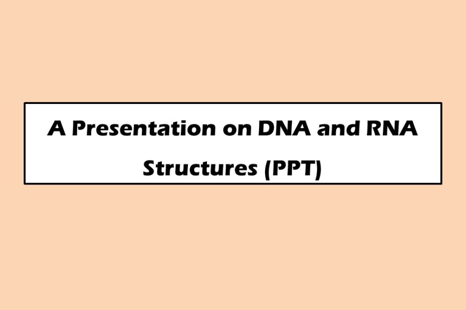A Presentation on DNA and RNA Structures (PPT)