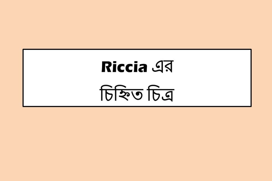 Riccia এর চিহ্নিত চিত্র